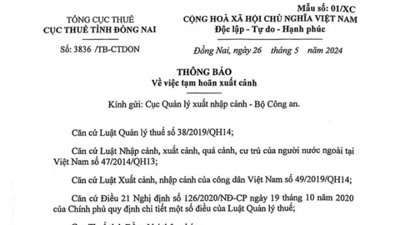 Tổng Giám đốc Công ty Vina Đại Việt bị tạm hoãn xuất cảnh