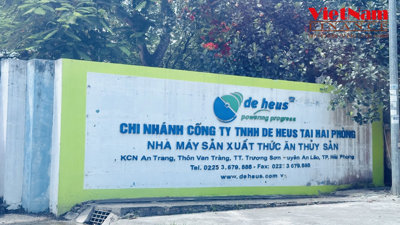 Bị cưỡng chế tài khoản, 'ông lớn' thức ăn chăn nuôi De Heus mới chịu nộp thuế