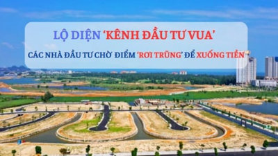 Lộ diện 'kênh đầu tư vua' sẽ được các nhà đầu tư 'đỏ mắt' săn lùng