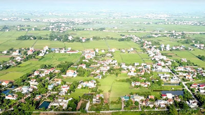 Nam Định: Đấu giá 232 lô đất, dự thu hơn 350 tỷ đồng