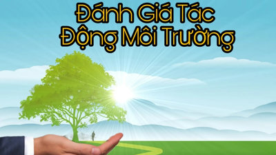 Chủ tịch và giám đốc bị bắt, loạt DN cắt hợp đồng với Liên minh Môi trường và Xây dựng