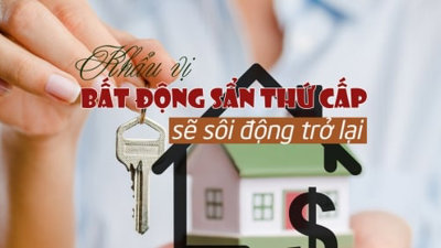 Khẩu vị lựa chọn bất động sản thứ cấp sẽ sôi động trở lại