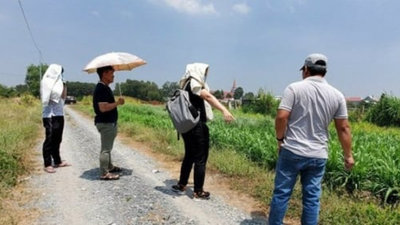 Chuyên gia tiết lộ thời điểm 'xuống tiền' trước tình trạng 'cá mập' đi săn lùng đất nền 'rã đông'