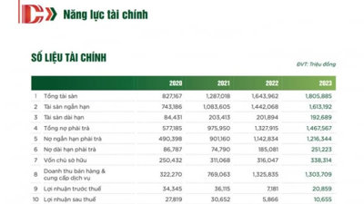 Công ty Cổ phần Chương Dương năng lực tài chính hiện như thế nào