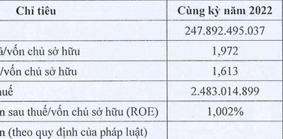 Đầu tư Phúc Hậu báo lỗ hơn 5 tỷ, nợ trái phiếu gần 400 tỷ đồng