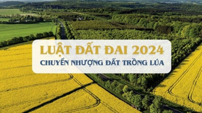 Người không sản xuất nông nghiệp vẫn có 'đặc quyền' này theo Luật Đất đai 2024