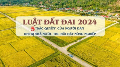 5 'đặc quyền' của người dân khi bị thu hồi đất nông nghiệp theo Luật Đất đai 2024