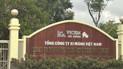 Vicem Hải Phòng: Lợi nhuận 2023 giảm 97%, 2024 đặt kế hoạch âm 79 tỷ