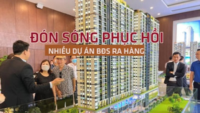 Đón sóng phục hồi, nhiều dự án ra hàng