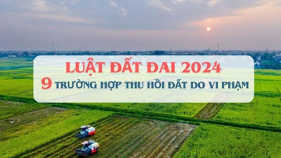 9 trường hợp sẽ thu hồi đất do vi phạm pháp luật về đất đai theo Luật Đất đai 2024