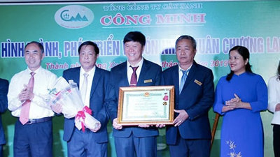 Cây xanh Công Minh: Lập hệ 50 công ty, tham gia 600 gói thầu hàng nghìn tỷ