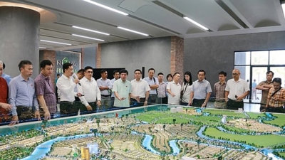 Đoàn giám sát của Quốc hội làm việc về dự án Aqua City