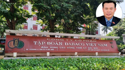 Lãi đậm 70 tỷ nhưng DABACO 'quên' nộp 22 triệu tiền thuế