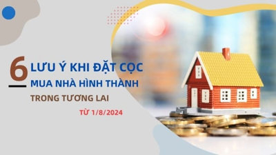 6 lưu ý khi đặt cọc mua nhà hình thành trong tương lai từ 1/8