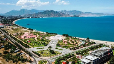 Ninh Thuận: 6 tháng đầu năm thu ngân sách đạt 2.411 tỷ đồng