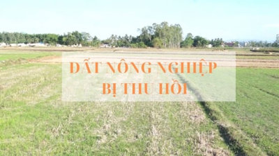 Từ ngày 1/8, đất nông nghiệp bỏ hoang sẽ bị Nhà nước thu hồi