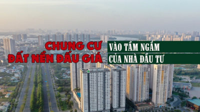 Chung cư và đất nền đấu giá vào tầm ngắm của nhà đầu tư