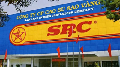 Bán dự án, Cao su Sao Vàng thu khoản tiền tươi 300 tỷ đồng