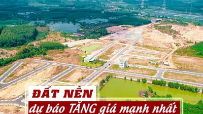 Dự báo đất nền là loại hình tăng giá mạnh nhất sau khi Luật có hiệu lực