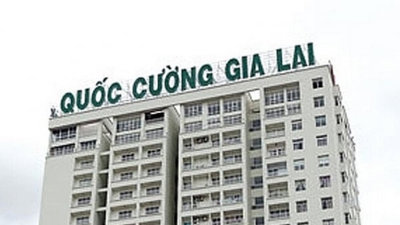 Cổ phiếu QCG tiếp tục giảm kịch sàn, HoSE yêu cầu Quốc Cường Gia Lai giải trình