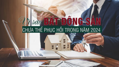 Vì sao bất động sản chưa thể hồi phục trong năm 2024?