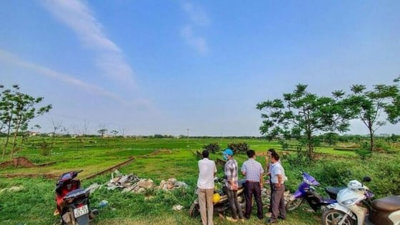 Có cơ hội “đầu cơ” đất nông nghiệp sau khi Luật mới có hiệu lực?