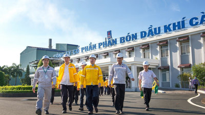 Đạm Cà Mau 'tiền đầy túi': Thâu tóm KVF thu lợi trăm tỷ, hơn 10.000 tỷ gửi ngân hàng