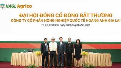 Tỷ phú Trần Bá Dương giải bài toán cổ phiếu HNG bị hủy niêm yết?