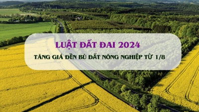 Từ 1/8, người dân hưởng lợi lớn khi tăng giá đền bù đất nông nghiệp