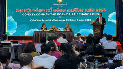 Tập đoàn Đầu tư Thăng Long: DN tăng trưởng xuất sắc, bị truy thu thuế 4 tỷ đồng