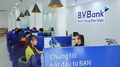 Bà Nguyễn Thanh Phượng nắm bao nhiêu cổ phần tại BVBank?