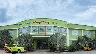 Rạng Đông Holding lỗ sâu và nặng nợ, cổ phiếu RDP 'hết hàng' sau khi bốc hơi gần 80%