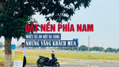 Đất nền phía Nam: Nhiều dự án ra hàng nhưng lại vắng khách mua