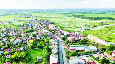 Dư âm sau vụ đấu giá kỷ lục tại huyện Thanh Oai: Nhà đầu tư bắt đầu rao bán, sẵn sàng cắt lỗ trăm triệu