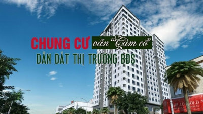 Phân khúc chung cư vẫn “cầm cờ” dẫn dắt thị trường bất động sản