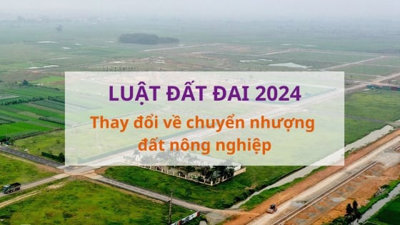 Từ tháng 8, chuyển nhượng đất nông nghiệp có 2 thay đổi lớn