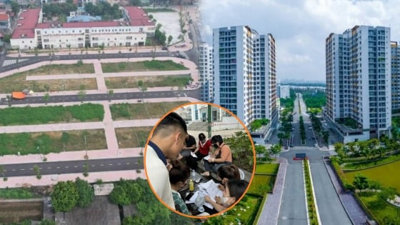 Tiềm ẩn mối lo về giá chung cư, dự án thấp tầng khi đất đấu giá vùng ven liên tiếp lập kỷ lục