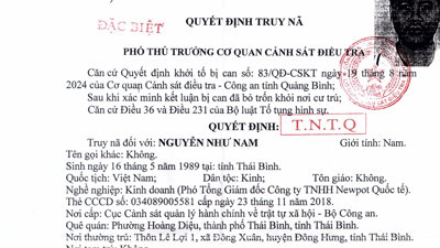 Truy nã Phó Tổng Giám đốc Công ty TNHH Newpot Quốc tế