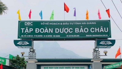 Dược Bảo Châu: Chủ tịch bị bắt, kinh doanh đổ dốc, ‘giấc mơ’ niêm yết dở dang