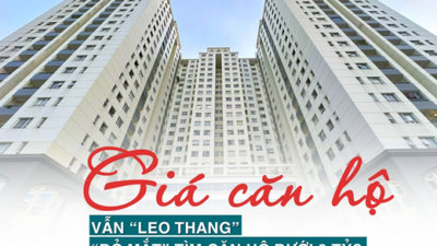 Giá căn hộ vẫn leo thang, “đỏ mắt” tìm chung cư dưới 3 tỷ đồng