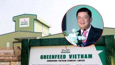 'Cõng' khoản nợ 5.000 tỷ, GreenFeed Việt Nam của ông Lý Anh Dũng đang làm ăn ra sao?