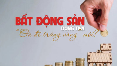 Bất động sản dòng tiền: “Gà đẻ trứng vàng” mới?