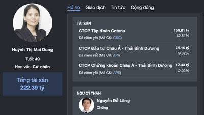 Vợ ông Nguyễn Đỗ Lăng muốn bán 1 triệu cổ phiếu CSC, dự thu triệu USD