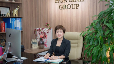 Hoà Bình Group và chuỗi bán hàng rộng khắp của doanh nhân Nguyễn Huyền