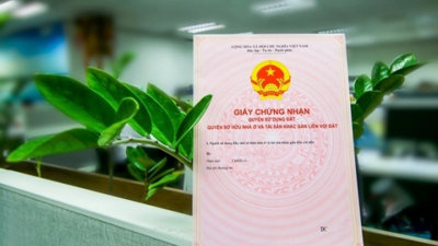 Từ bây giờ, áp dụng quy định mới về hồ sơ và chi phí tách sổ đỏ cho con