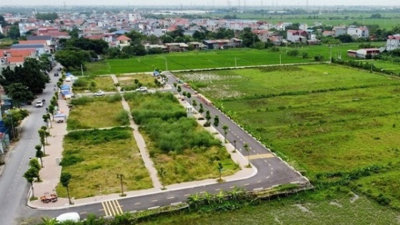 Huyện Thanh Oai đấu giá 58 thửa đất trong tháng 10, giá khởi điểm 5,3 triệu đồng/m2