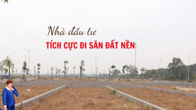 Nhà đầu tư tiếp tục đi săn đất nền