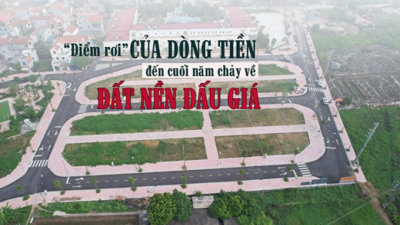 “Điểm rơi” của dòng tiền từ nay đến cuối năm sẽ chảy vào đất nền đấu giá?