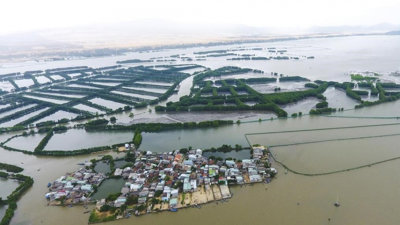 Bình Định: Chuyển toàn bộ 1 xã rộng 2.600ha thành đô thị bên Đầm Thị Nại