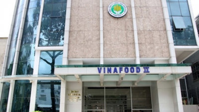 Vinafood 2 thoát lỗ như thế nào?